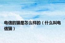 电信的猫是怎么样的（什么叫电信猫）