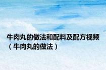 牛肉丸的做法和配料及配方视频（牛肉丸的做法）