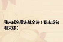 我未成名君未嫁全诗（我未成名君未嫁）