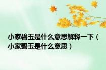 小家碧玉是什么意思解释一下（小家碧玉是什么意思）