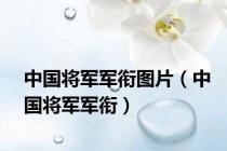 中国将军军衔图片（中国将军军衔）
