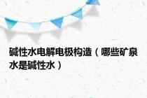 碱性水电解电极构造（哪些矿泉水是碱性水）