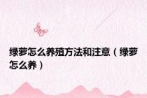 绿萝怎么养殖方法和注意（绿萝怎么养）