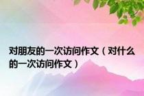 对朋友的一次访问作文（对什么的一次访问作文）