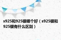 s925和925银哪个好（s925银和925银有什么区别）