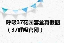 呼吸37花园套盒真假图（37呼吸官网）
