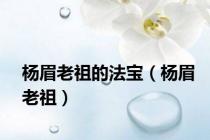 杨眉老祖的法宝（杨眉老祖）