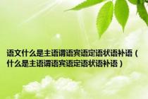 语文什么是主语谓语宾语定语状语补语（什么是主语谓语宾语定语状语补语）