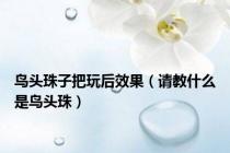 鸟头珠子把玩后效果（请教什么是鸟头珠）