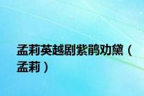 孟莉英越剧紫鹃劝黛（孟莉）