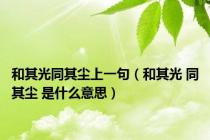 和其光同其尘上一句（和其光 同其尘 是什么意思）