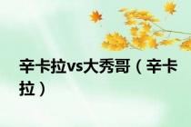 辛卡拉vs大秀哥（辛卡拉）