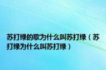 苏打绿的歌为什么叫苏打绿（苏打绿为什么叫苏打绿）