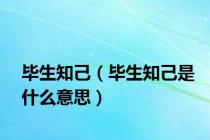毕生知己（毕生知己是什么意思）
