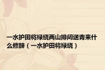 一水护田将绿绕两山排闼送青来什么修辞（一水护田将绿绕）