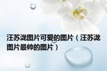 汪苏泷图片可爱的图片（汪苏泷图片最帅的图片）
