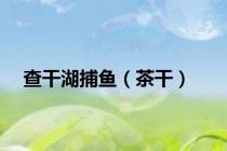 查干湖捕鱼（茶干）