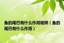 鱼的尾巴有什么作用视频（鱼的尾巴有什么作用）