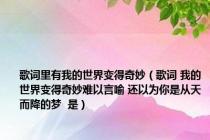 歌词里有我的世界变得奇妙（歌词 我的世界变得奇妙难以言喻 还以为你是从天而降的梦  是）
