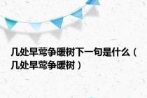 几处早莺争暖树下一句是什么（几处早莺争暖树）