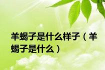 羊蝎子是什么样子（羊蝎子是什么）