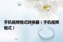 手机视频格式转换器（手机视频格式）