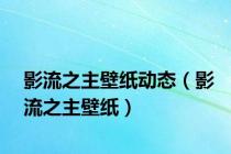 影流之主壁纸动态（影流之主壁纸）