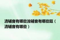 清辅音有哪些浊辅音有哪些题（清辅音有哪些）