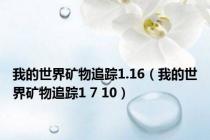 我的世界矿物追踪1.16（我的世界矿物追踪1 7 10）