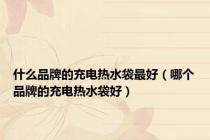 什么品牌的充电热水袋最好（哪个品牌的充电热水袋好）