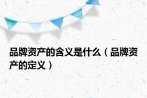 品牌资产的含义是什么（品牌资产的定义）