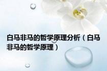 白马非马的哲学原理分析（白马非马的哲学原理）