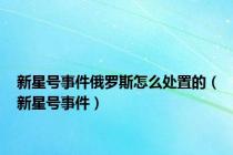 新星号事件俄罗斯怎么处置的（新星号事件）