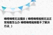 嘀哩嘀哩无法播放（嘀哩嘀哩视频无法正常观看怎么办 嘀哩嘀哩视频看不了解决方法_）