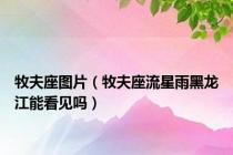 牧夫座图片（牧夫座流星雨黑龙江能看见吗）