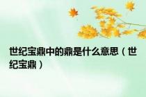 世纪宝鼎中的鼎是什么意思（世纪宝鼎）