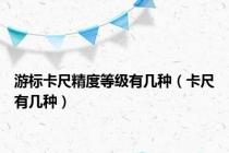 游标卡尺精度等级有几种（卡尺有几种）
