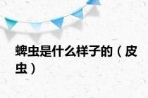 蜱虫是什么样子的（皮虫）