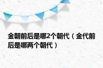 金朝前后是哪2个朝代（金代前后是哪两个朝代）