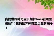 我的世界神奇宝贝超梦boss在哪里刷新?（我的世界神奇宝贝超梦指令）