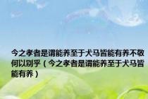 今之孝者是谓能养至于犬马皆能有养不敬何以别乎（今之孝者是谓能养至于犬马皆能有养）