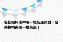 名侦探柯南中哪一集灰原吃醋（名侦探柯南哪一集灰原）