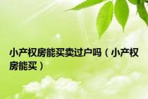 小产权房能买卖过户吗（小产权房能买）