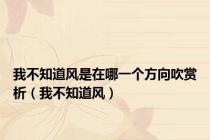 我不知道风是在哪一个方向吹赏析（我不知道风）