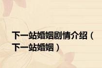 下一站婚姻剧情介绍（下一站婚姻）