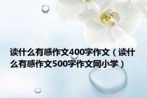 读什么有感作文400字作文（读什么有感作文500字作文网小学）
