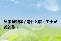兄弟呀想你了是什么歌（关于兄弟的歌）