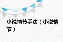 小说情节手法（小说情节）