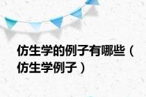 仿生学的例子有哪些（仿生学例子）