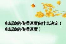 电磁波的传播速度由什么决定（电磁波的传播速度）